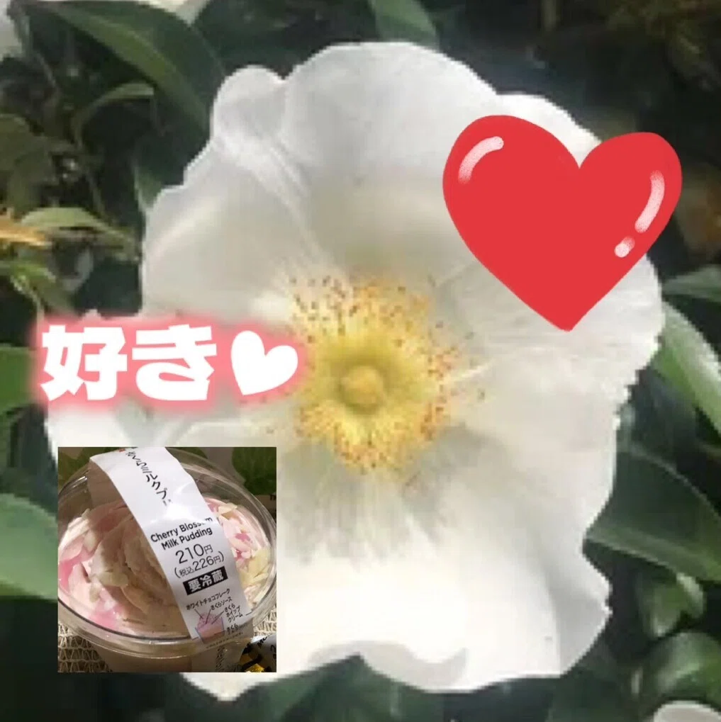 画像22