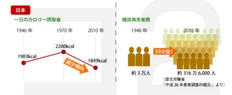 リーキーガット症候群解消法 第四回　肥満や糖尿病に関わる知られざる話