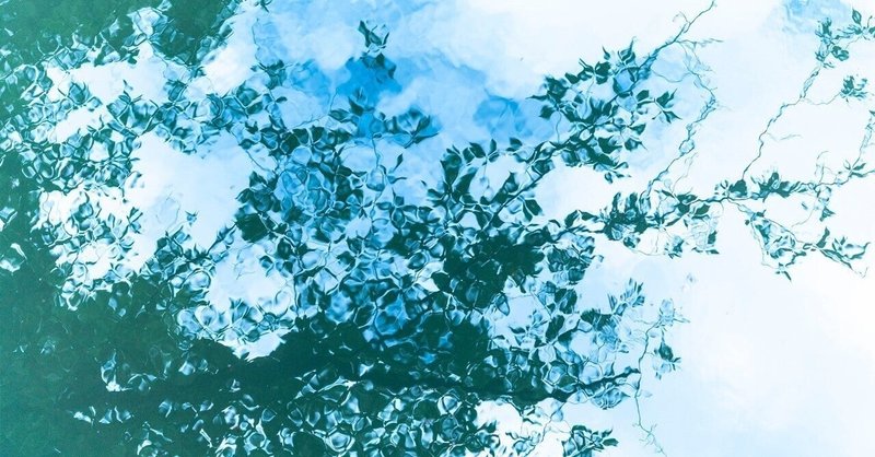 のほほん日記 の新着タグ記事一覧 Note つくる つながる とどける