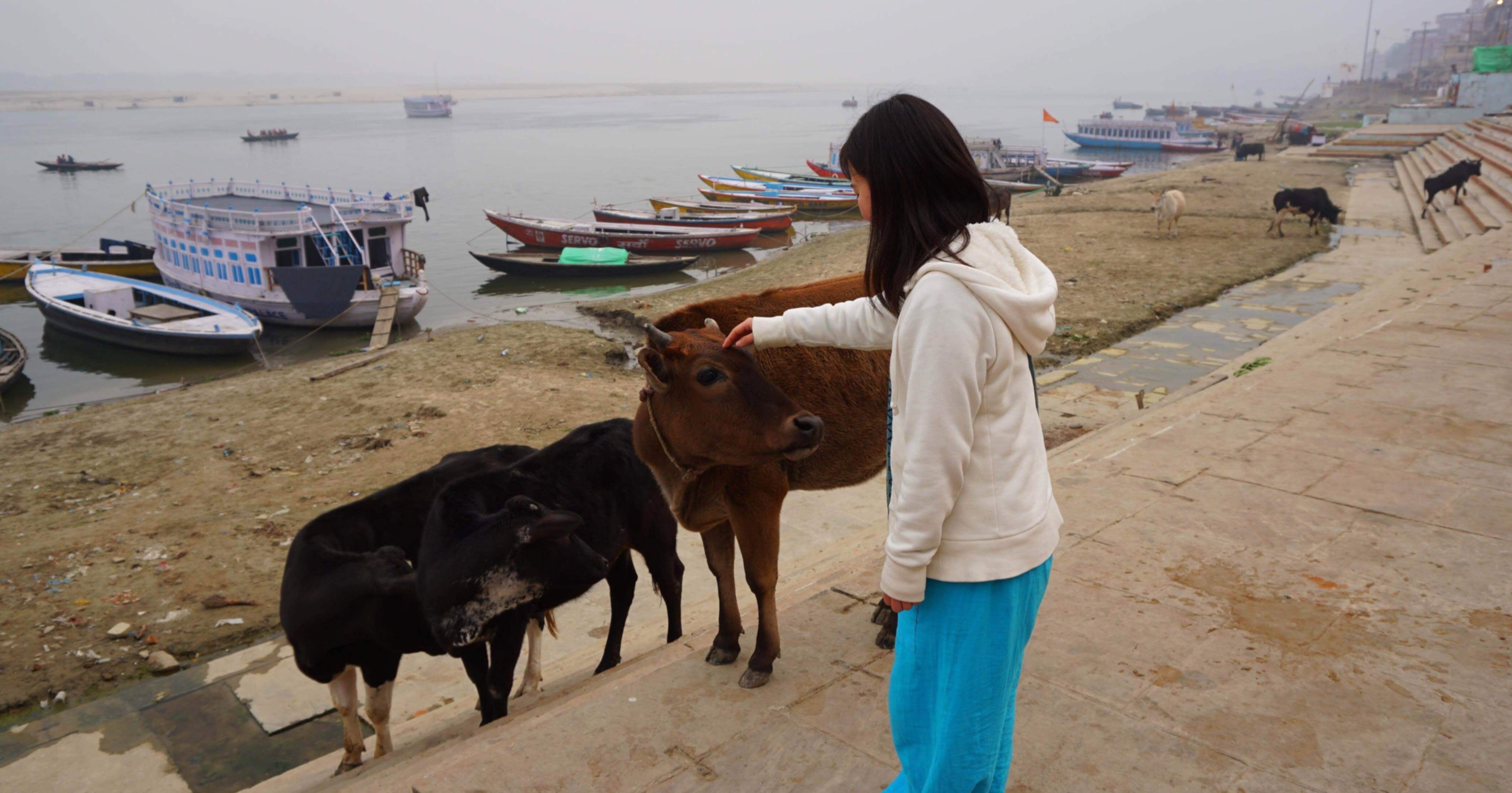 私はなぜ高校中退３日後にインドにいたのか 西川 慈愛 Note