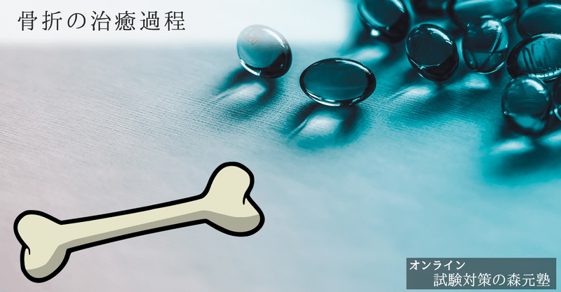 柔道整復学 図解 イラスト とゴロあわせで簡単に覚える 骨折の治癒過程 森元塾 国家試験対策 Note 柔道整復学 図解 イラスト とゴロあわせで簡単に覚える 骨折の治癒過程 森元塾 国家試験対策 Note