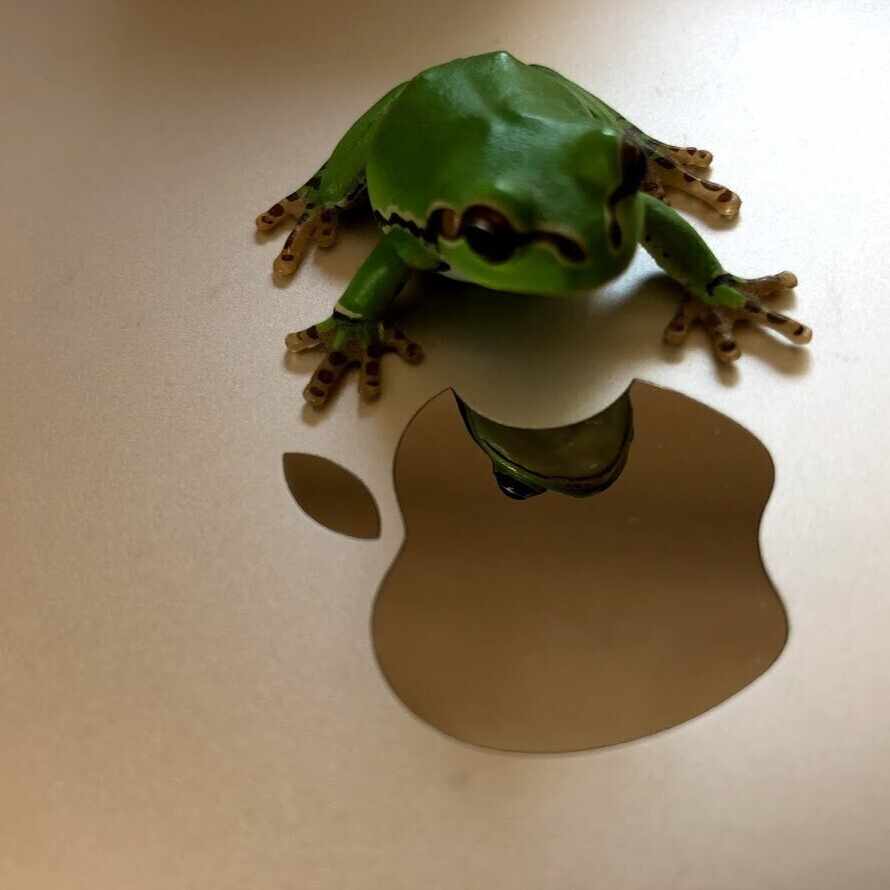 ピーターラビットの出版120周年に、ベンジャミン・バニーと握手を