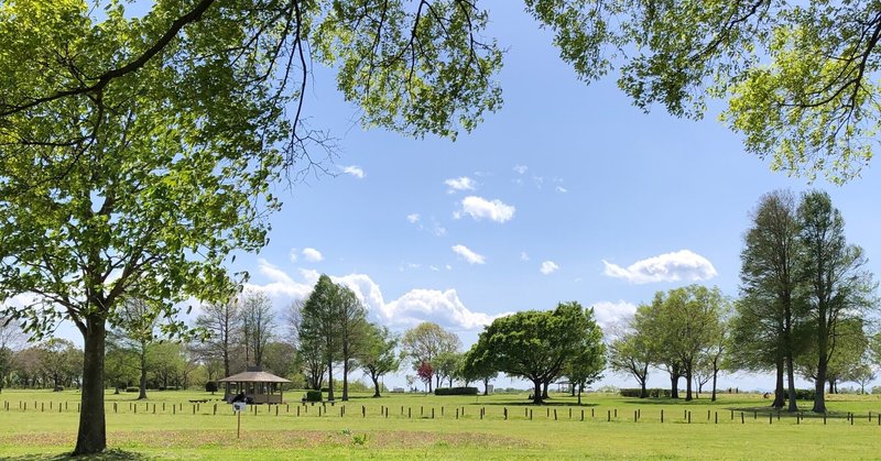 やりたくてやったこと 島田春美 ママのみかたひだまりキッチン はるみlab Note