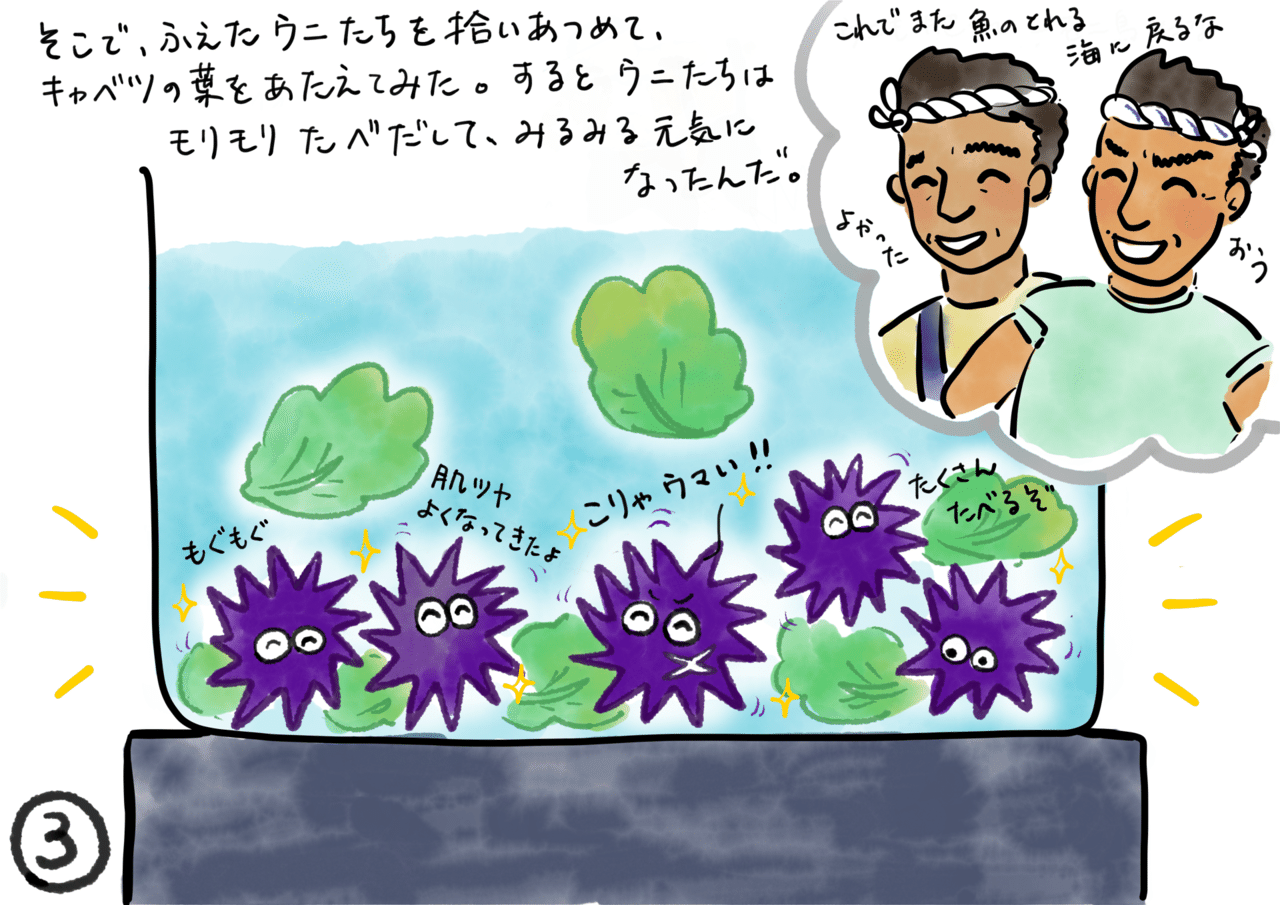 キャベツウニくん ゆかぽん Note