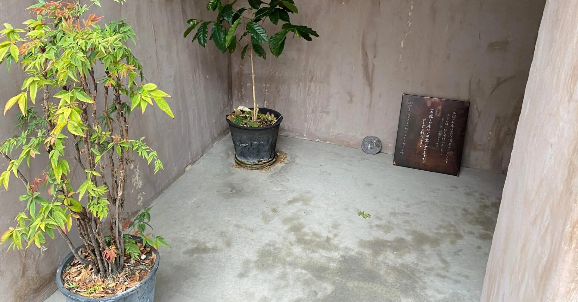 ca 撮影 禁止