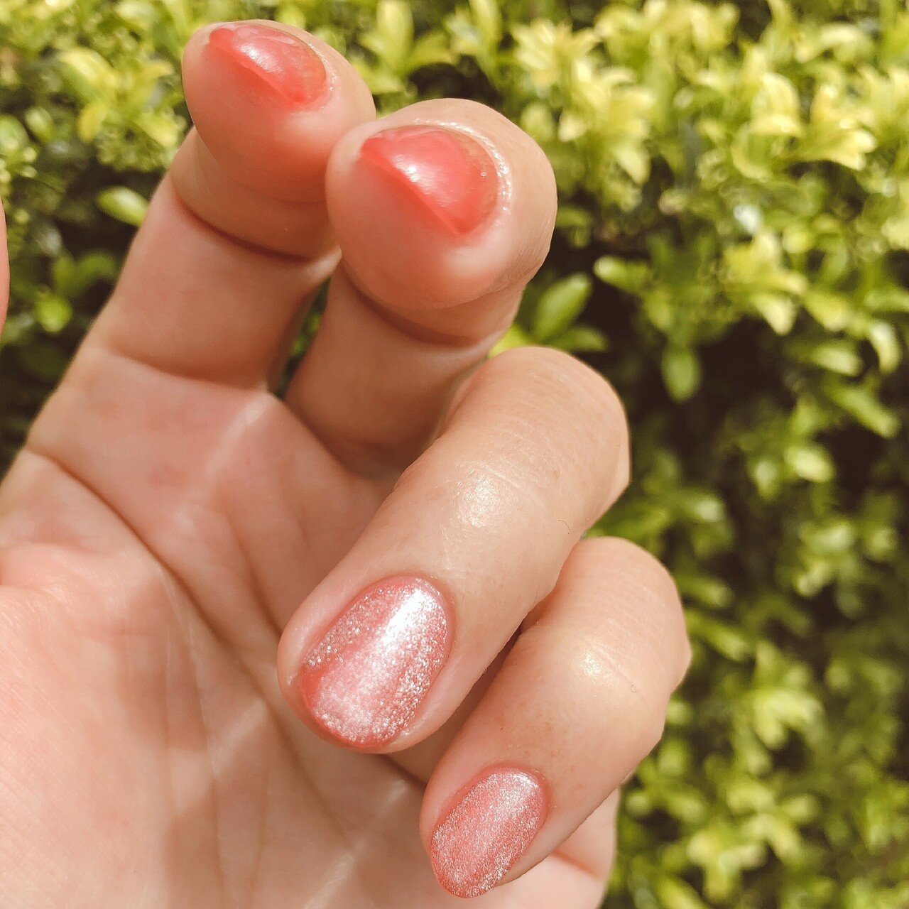 今月のネイル マグネットネイル っていうらしい 磁石に反応するラメを使って 真ん中にラメを集めて固定してるんだそう なので 角度によってキラキラしたりマットに見えたり 色 は コーラルピンク 秘めた想いって 七緒 Note