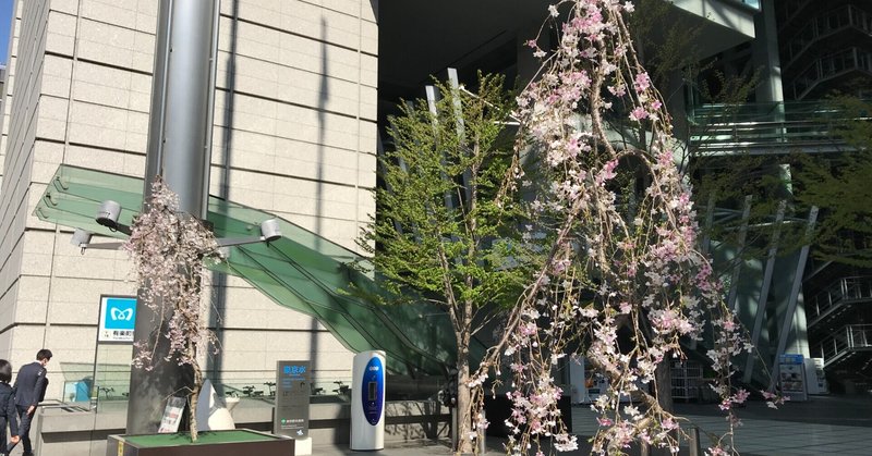 有楽町国際フォーラムと桜と青空