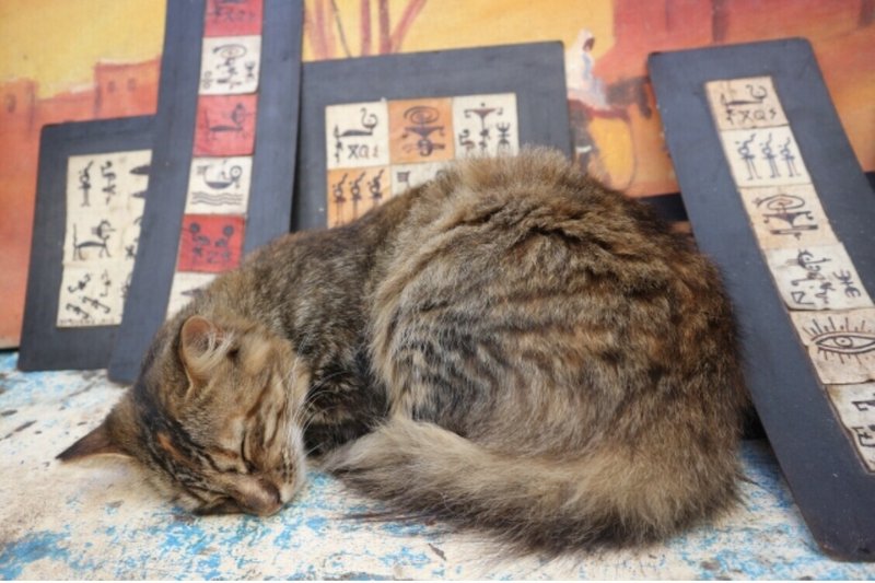 王様は仰向けに寝 賢者は横向きに寝 金持ちはうつ伏せに寝る 寝ている姿でわかる 性格と心理について 齋藤ゆかり Note 王様は仰向けに寝 賢者は横向きに寝 金持ちはうつ伏せに寝る 寝ている姿でわかる 性格と心理について 齋藤ゆかり Note