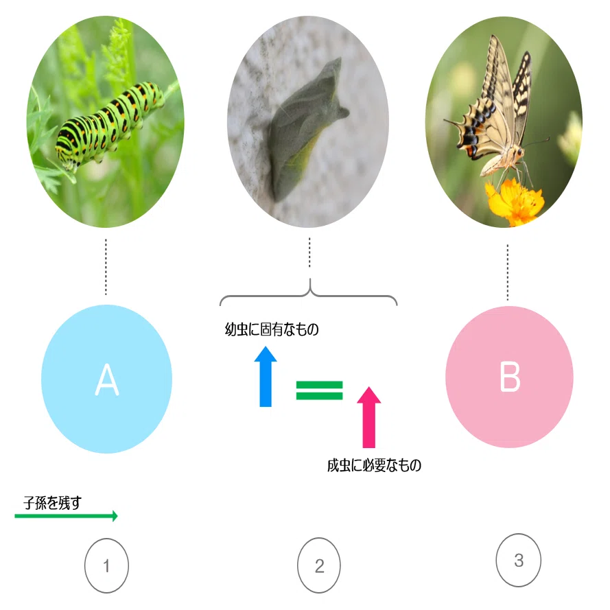 創造とは過去を受け継いで未来に向けて再構成すること｜市川はるみ