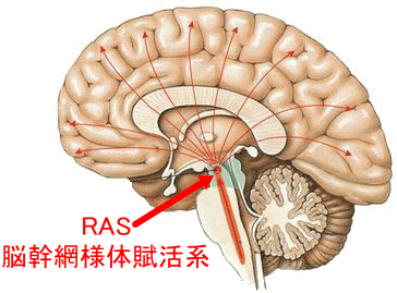 画像58