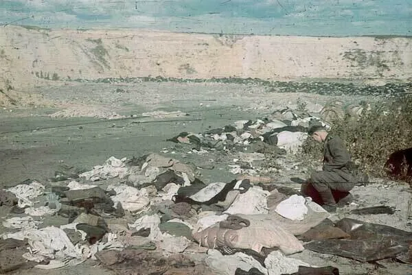 画像30