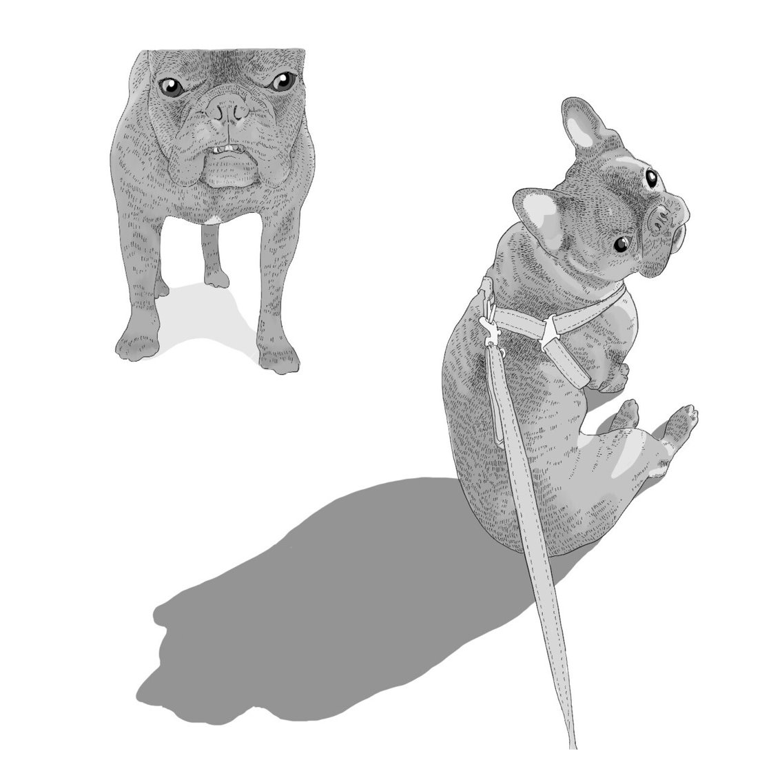 かわいい漫画の白い子犬 子供のデザインに最適イラスト素材透過、PNGフリー画像ダウンロード - Pngtree, image size:1280x1119