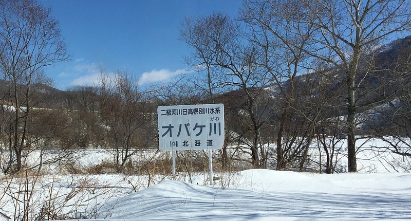 オバケ桜 Mamamariko Note オバケ桜 Mamamariko Note