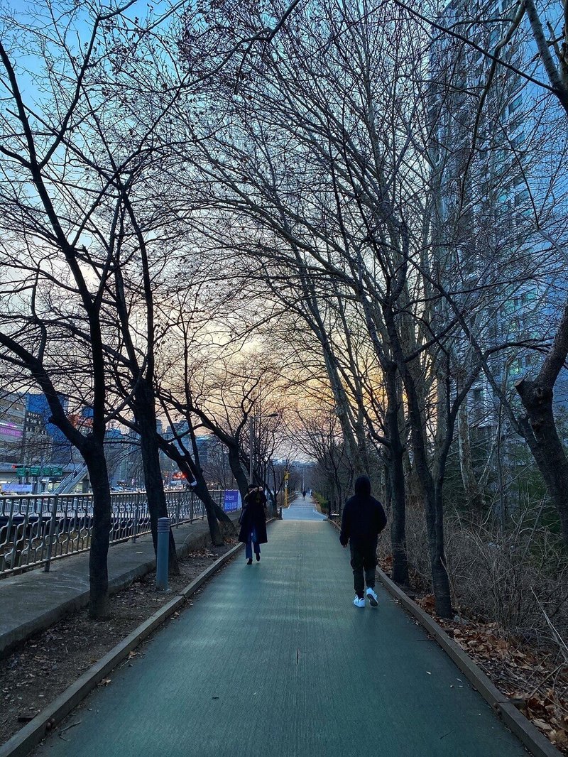 散策路2