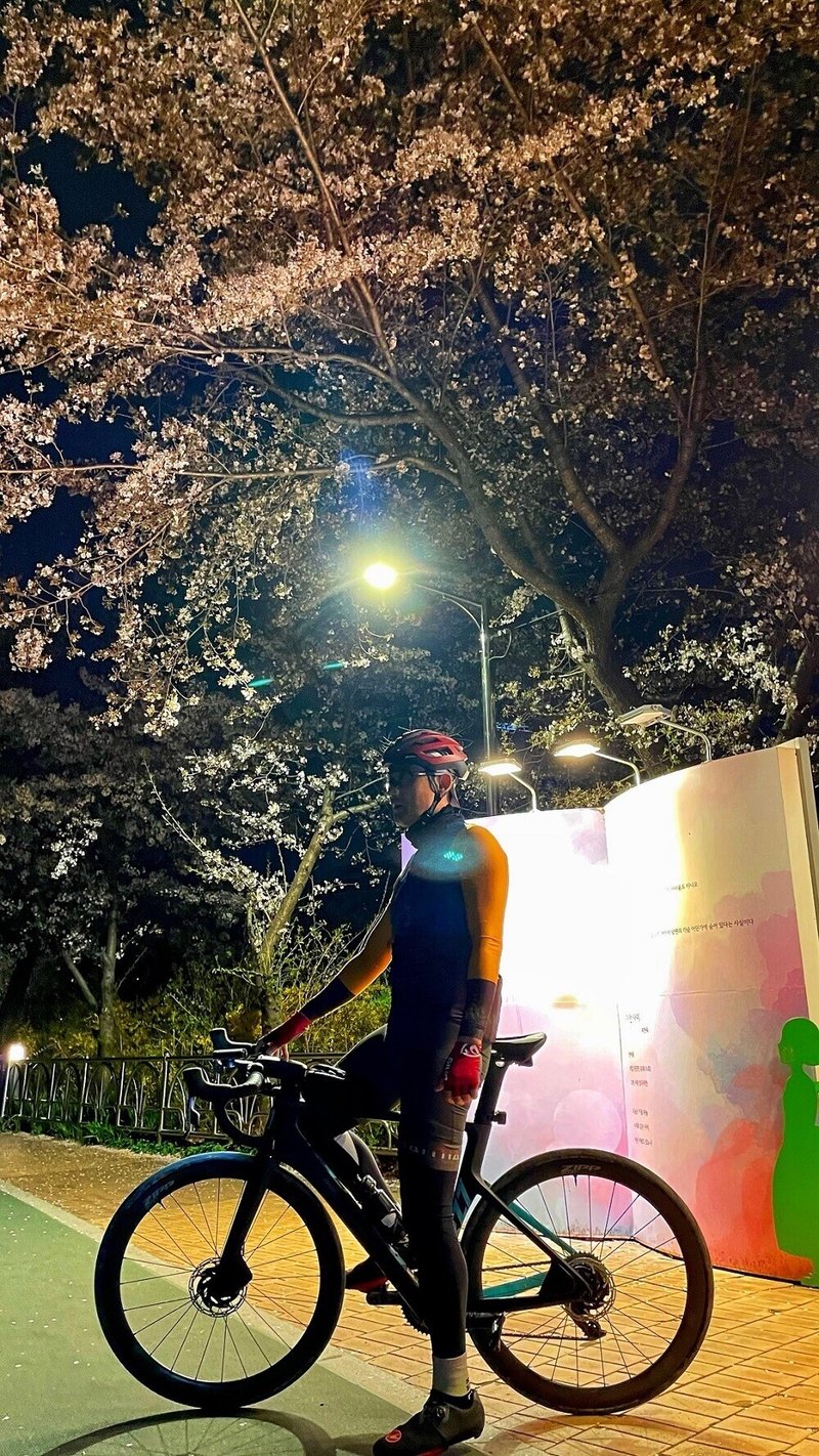 散策路7