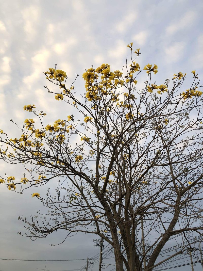 イペー の新着タグ記事一覧 Note つくる つながる とどける