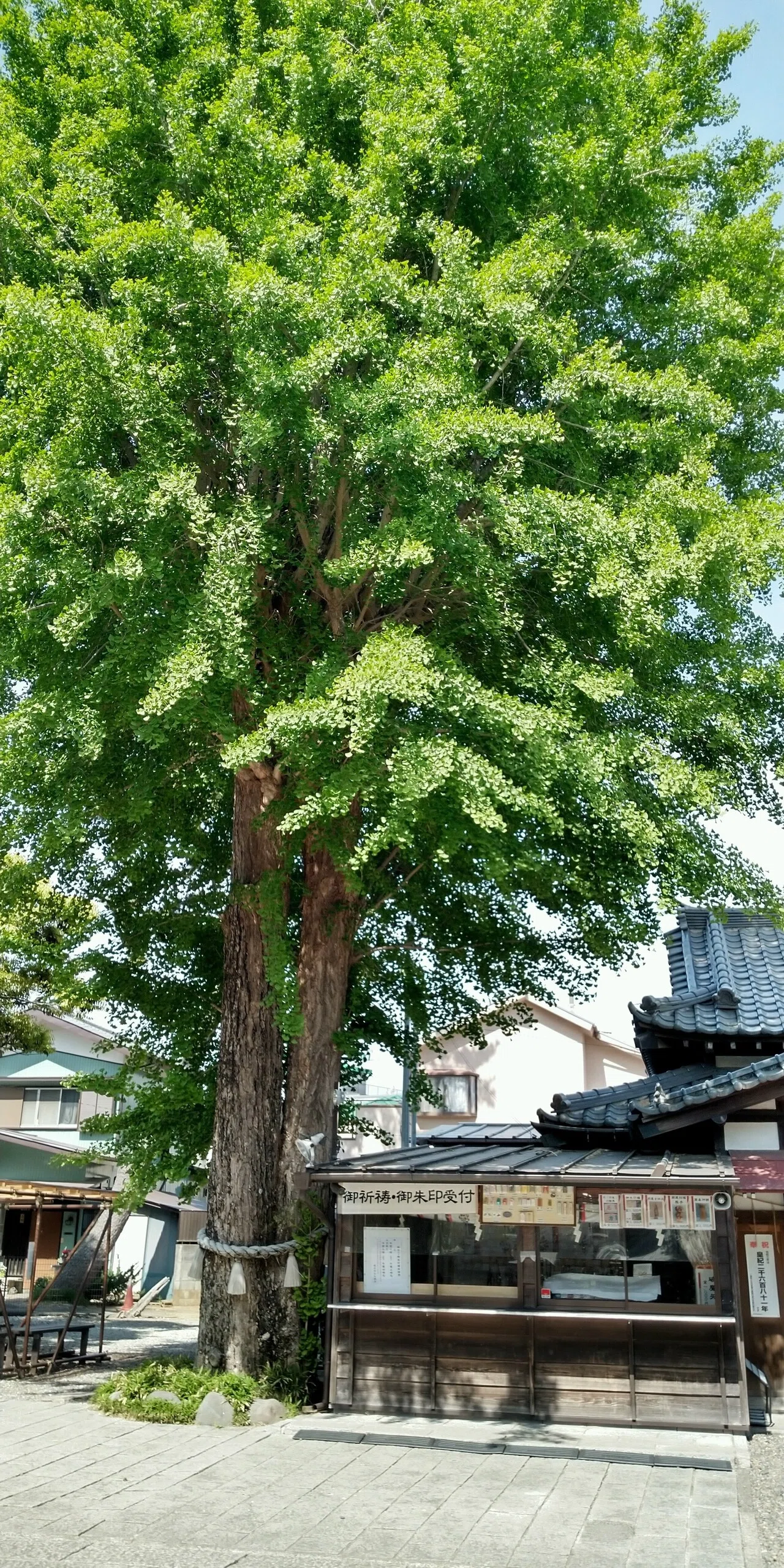 ⛩ 菊 田 神 社 ⛩｜辛島信芳
