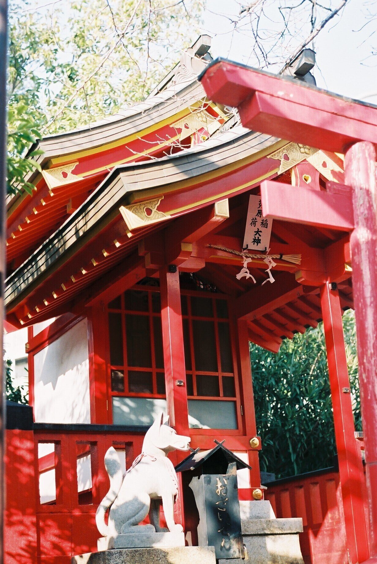 20年ぶりにフィルムカメラを使ってみた。Fujica ST801/Fujinon 20年ぶりにフィルムカメラを使ってみた。Fujica ST801/Fujinon
