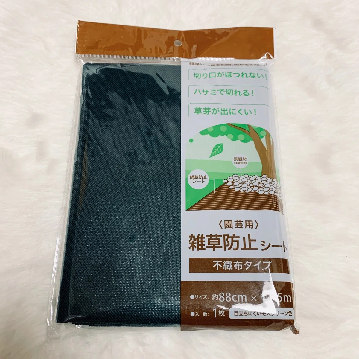画像15