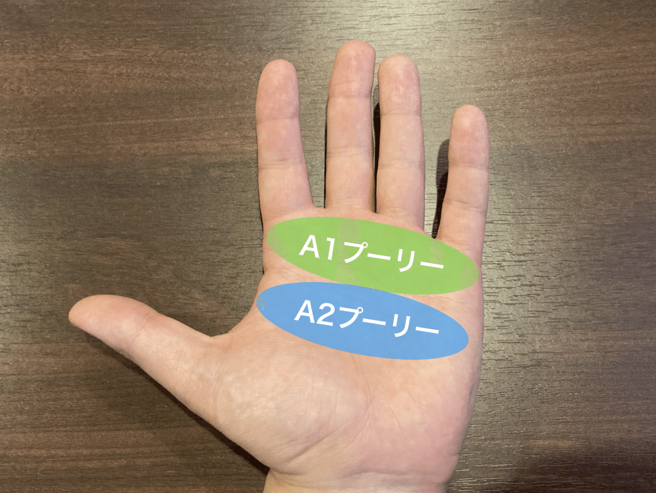 画像8
