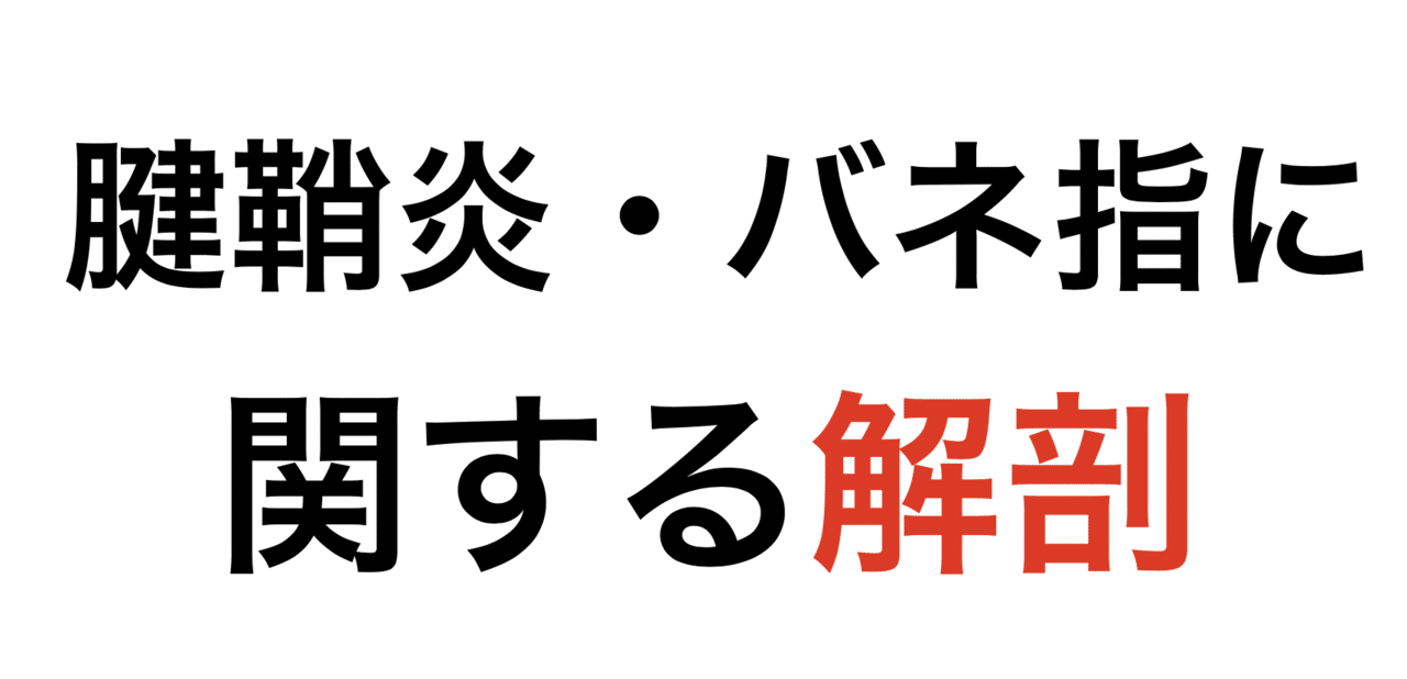 画像11