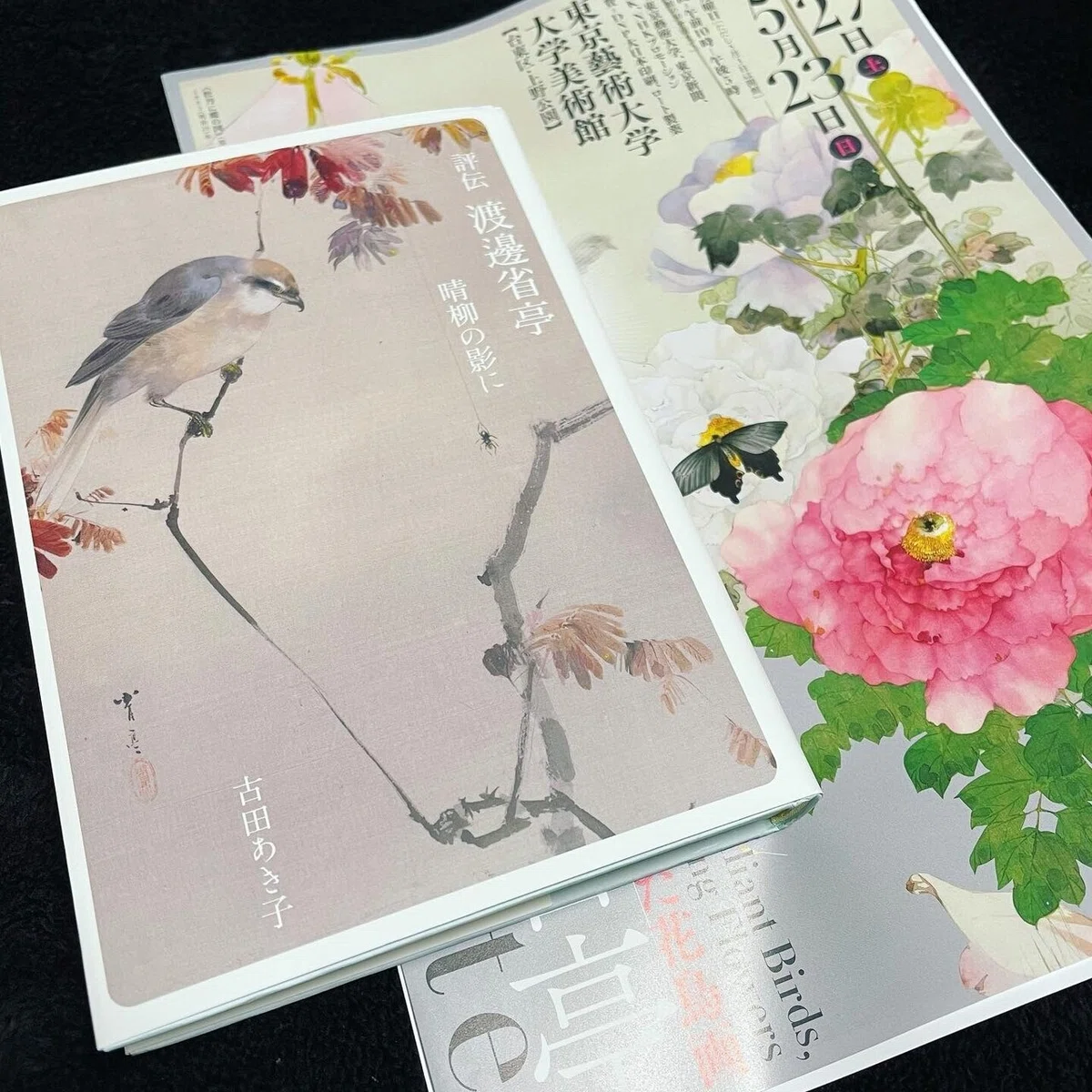 画像12