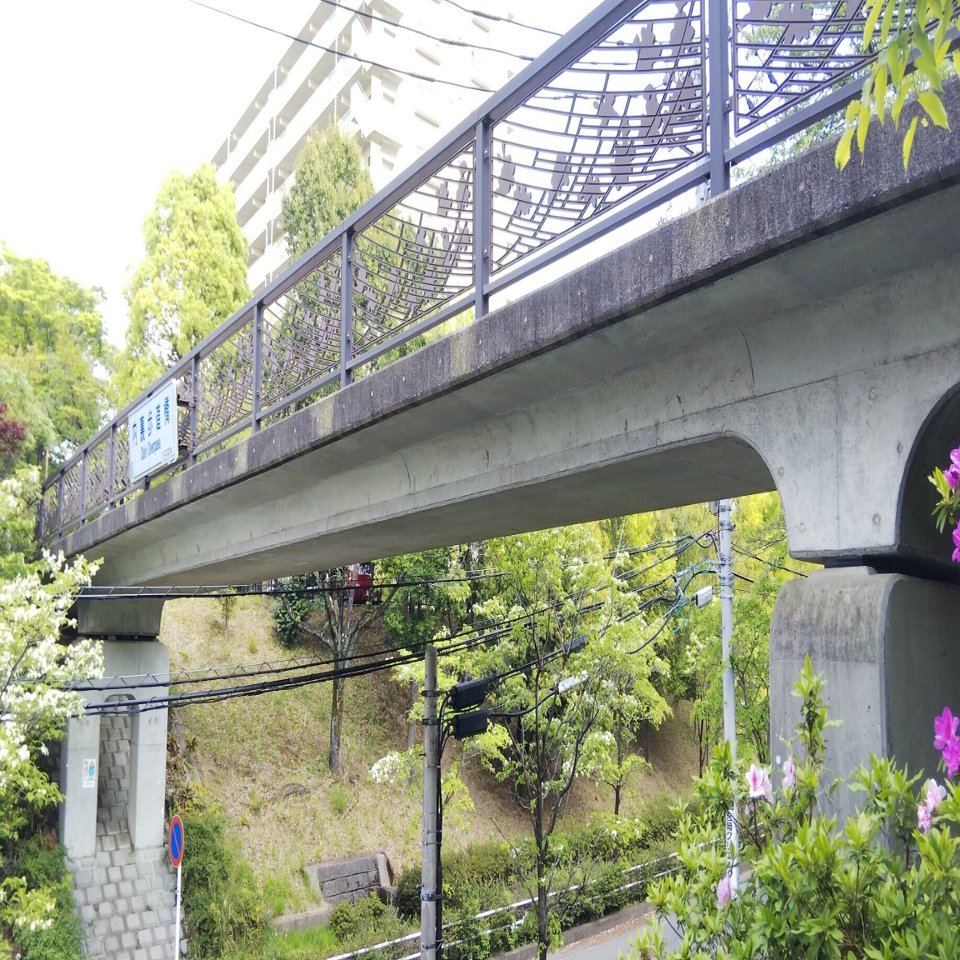 南大沢土木構造物めぐり No 15 桜の花で飾られた 開発初期の歩道橋 内裏歩道橋 Takashikato Note