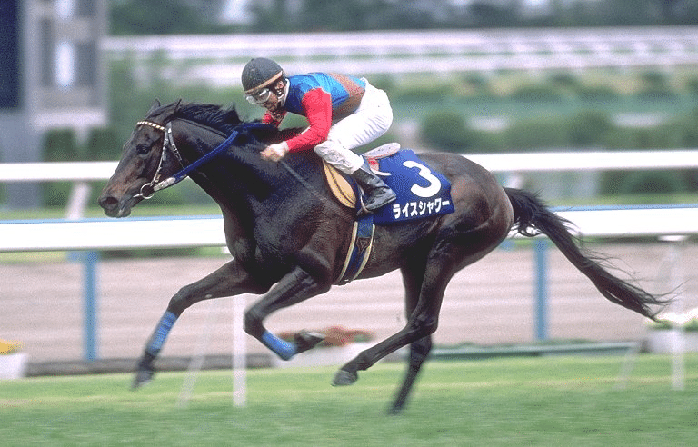 ゴルシのライバル 最も無名な春天連覇馬フェノーメノ ウマ娘化されていない名馬列伝 天皇賞春特集 競馬ep 8 投げ銭式 De L 個人投資家 フリーランス 学生 Note