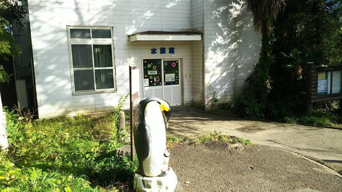画像8