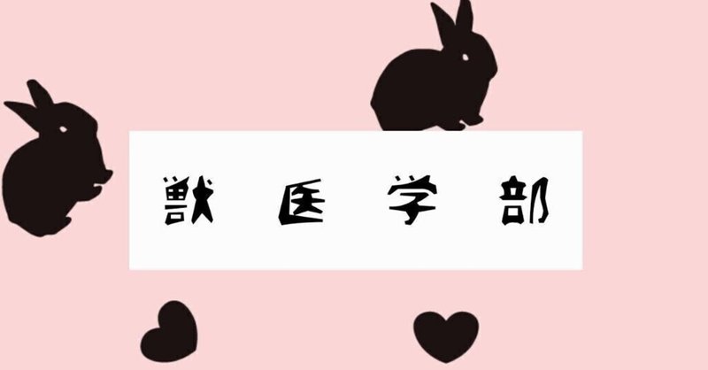 やってやれないことはない27話 とうとう獣医学部入学 当年47歳の大学生 ひろせmasakazu Note やってやれないことはない27話 とうとう獣医学部入学 当年47歳の大学生 ひろせmasakazu Note