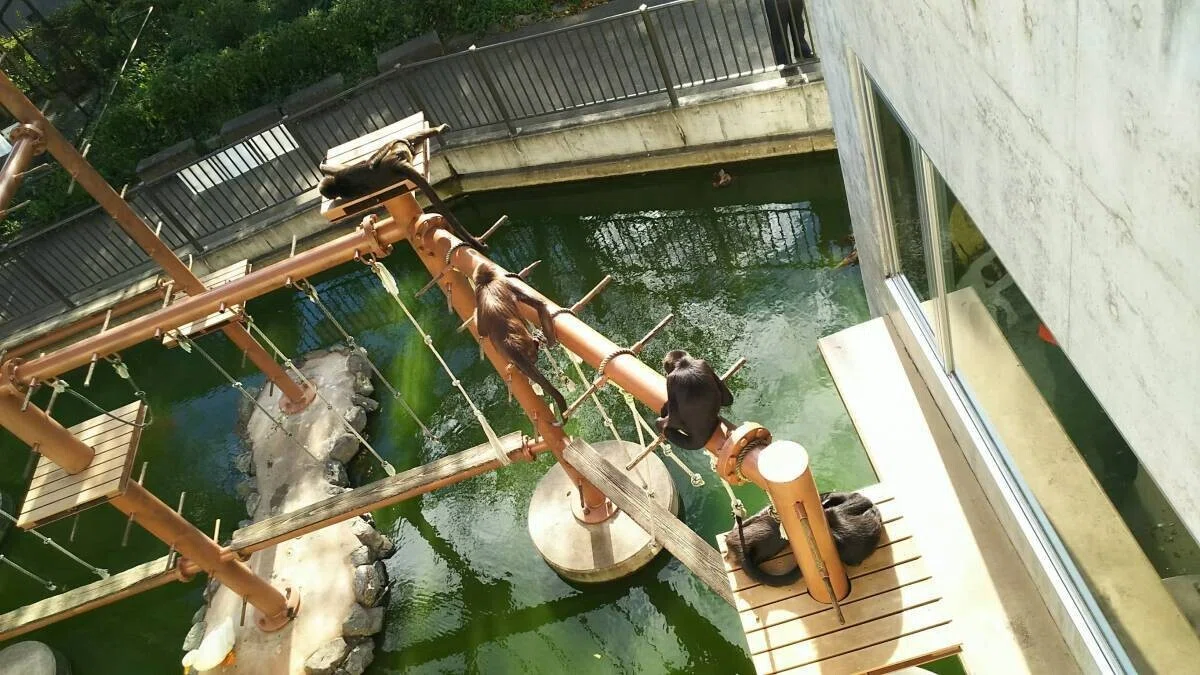 画像26