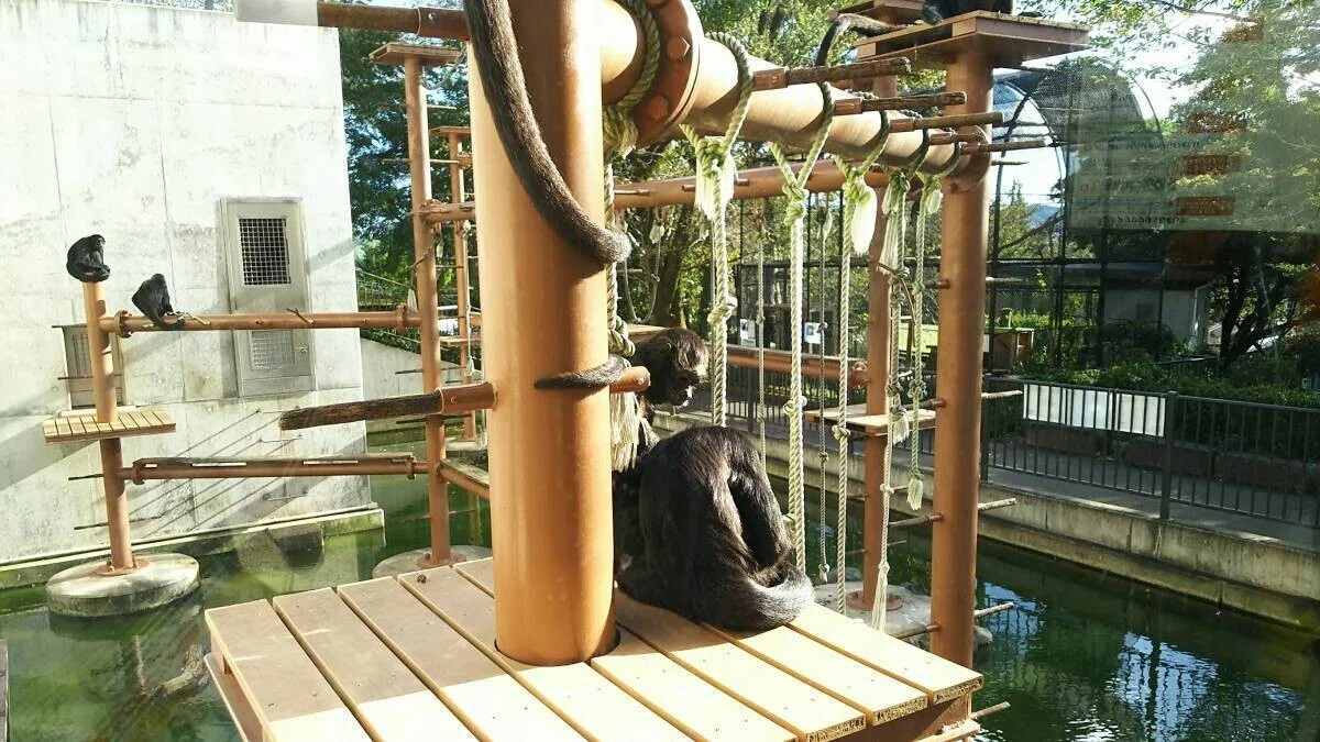 画像33