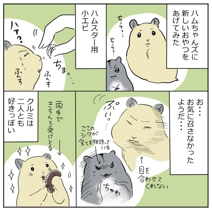 ハムスター健康法 百田ちなこ Note