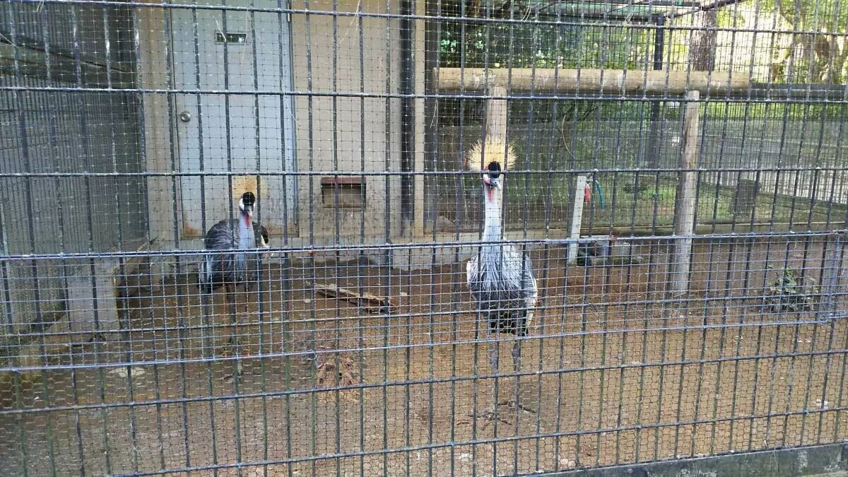 画像37
