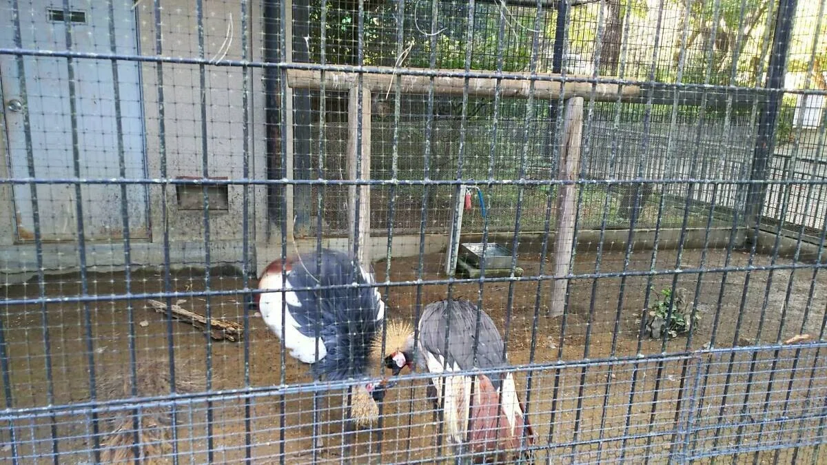画像38