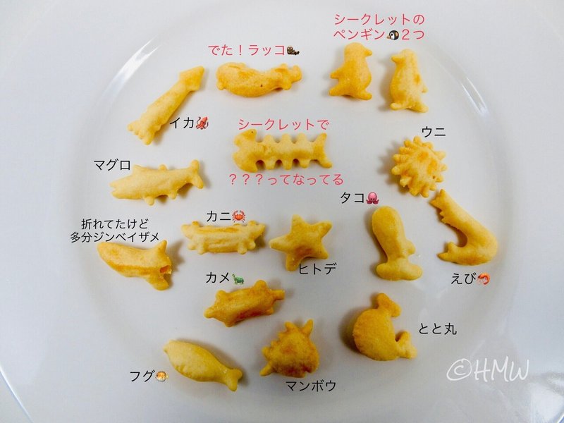 おっとっと 海のなかまたち 1袋目の結果 Hiromichi Wandering Note おっとっと 海のなかまたち 1袋目の結果 Hiromichi Wandering Note