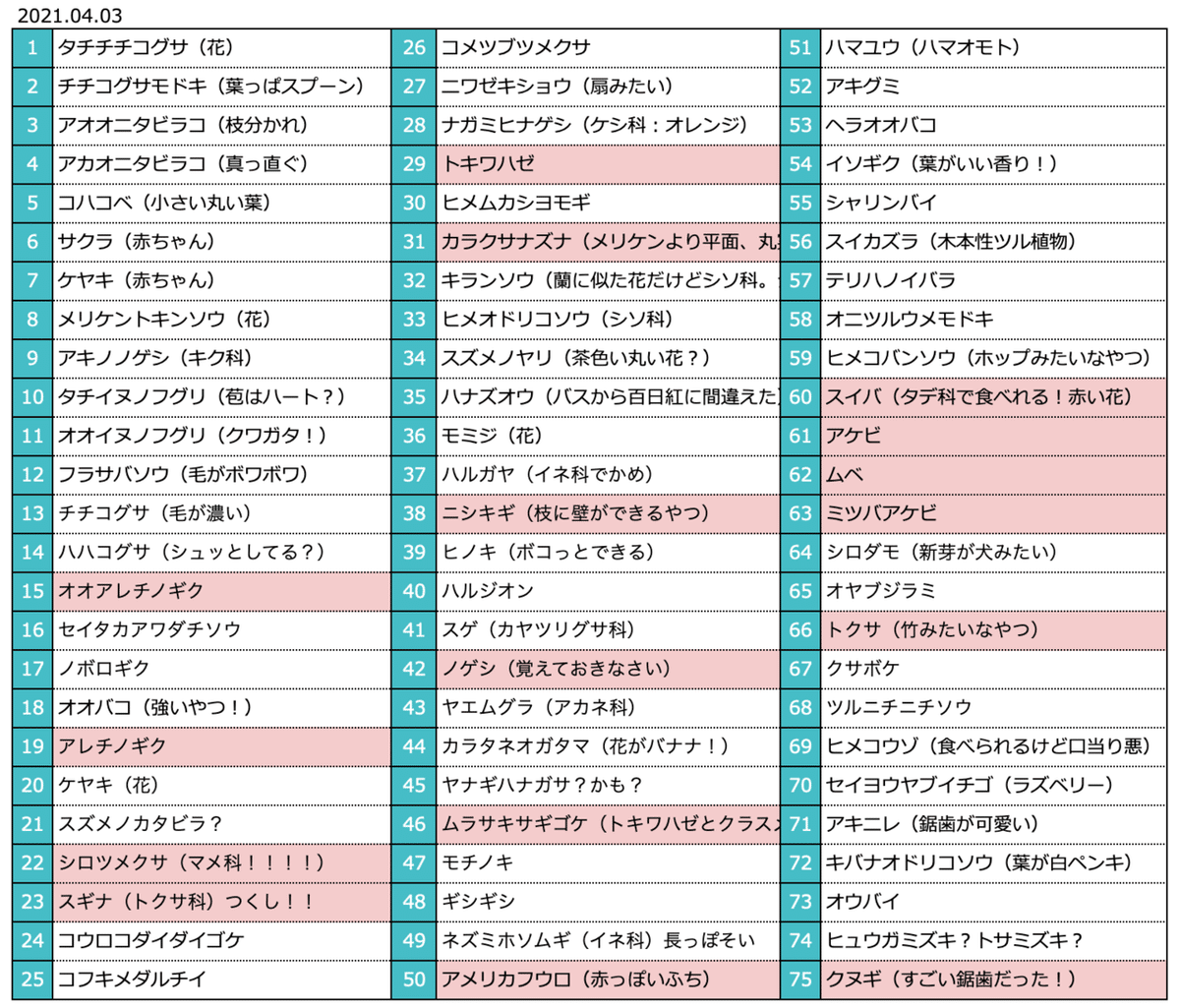 4月の観察