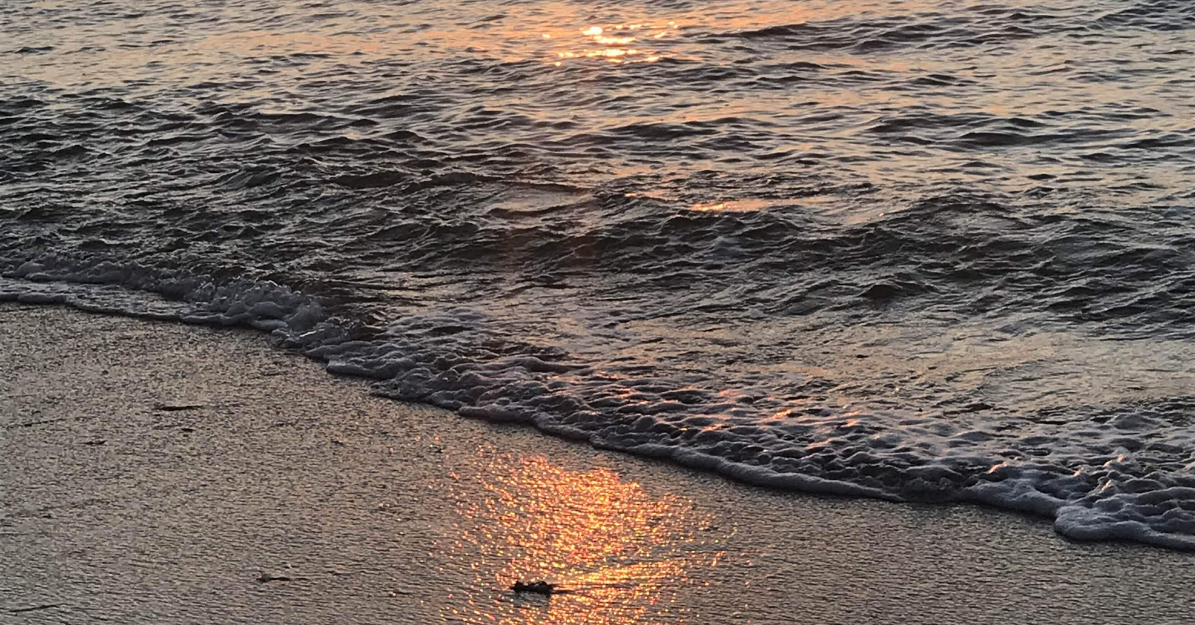 波のゆくさき マロングラッセ 沖縄 Note