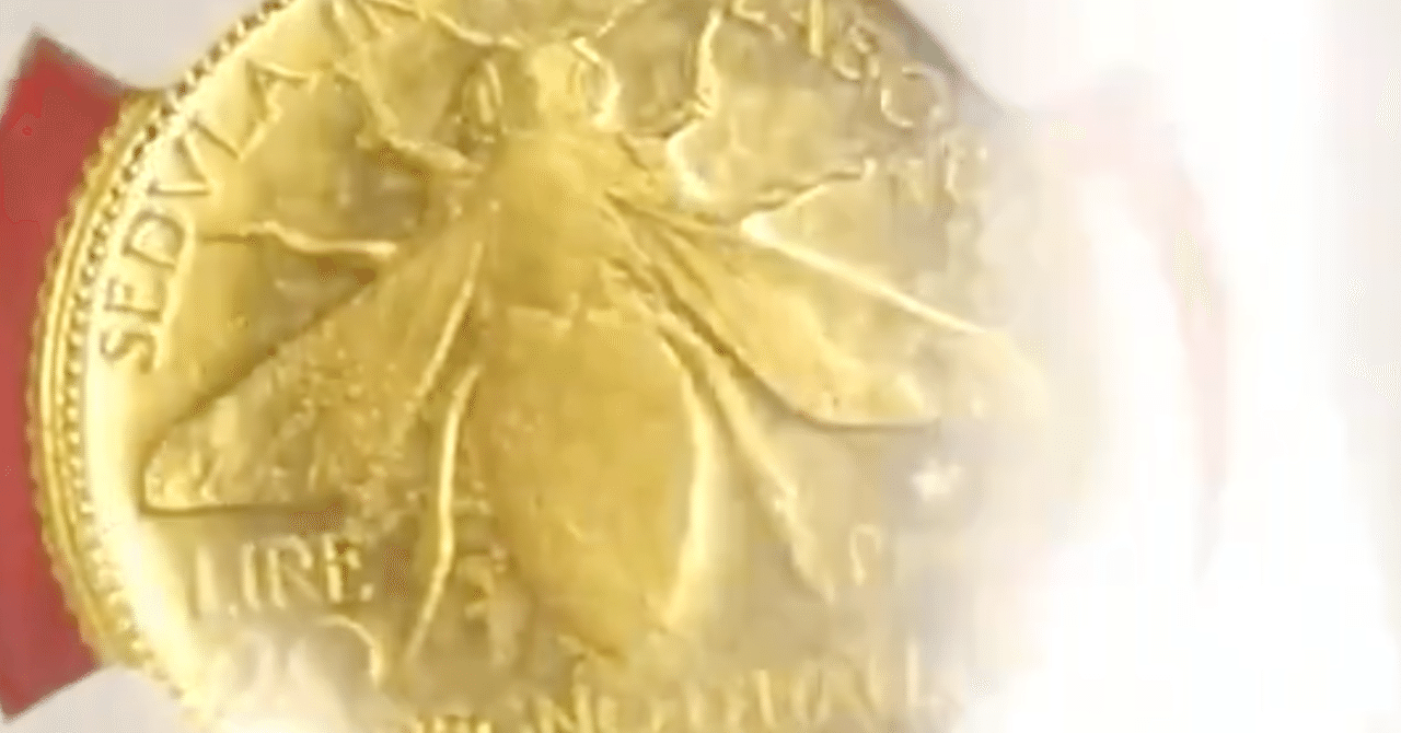 泰星オークション2021(2021/5) 下見の感想｜オーライズドコイン