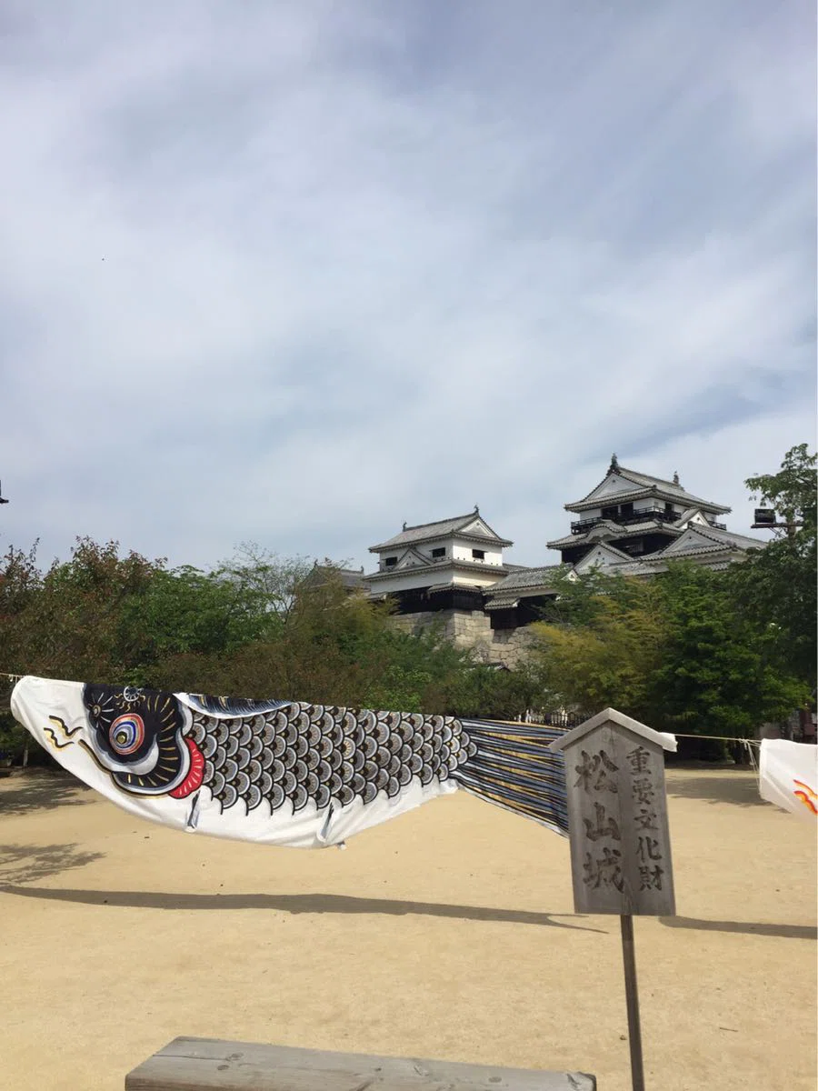 画像8