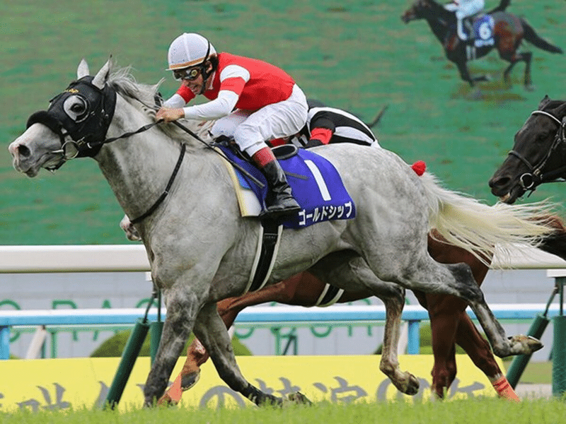 ゴルシのライバル 最も無名な春天連覇馬フェノーメノ ウマ娘化されていない名馬列伝 天皇賞春特集 競馬ep 8 投げ銭式 De L 個人投資家 フリーランス 学生 Note