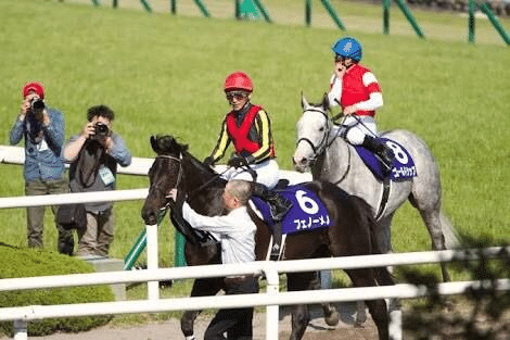 ゴルシのライバル 最も無名な春天連覇馬フェノーメノ ウマ娘化されていない名馬列伝 天皇賞春特集 競馬ep 8 投げ銭式 De L 個人投資家 フリーランス 学生 Note
