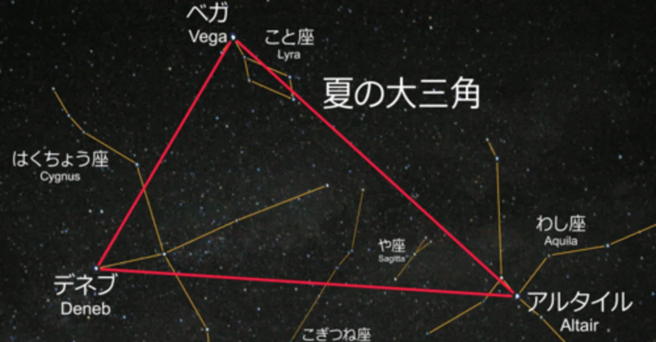 デネブ（Deneb）｜Poussin vagabond