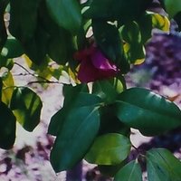 不死と死のあいだにある 個 と 性 スカイ クロラ シリーズ 森博嗣 について 2 Furuyatoshihiro Note