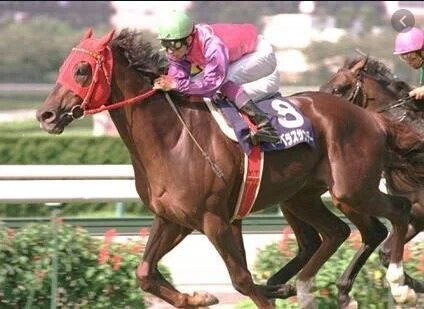 記憶に残るレース(最強馬が激突した第113回と第115回天皇賞・春 記憶に残るレース(最強馬が激突した第113回と第115回天皇賞・春
