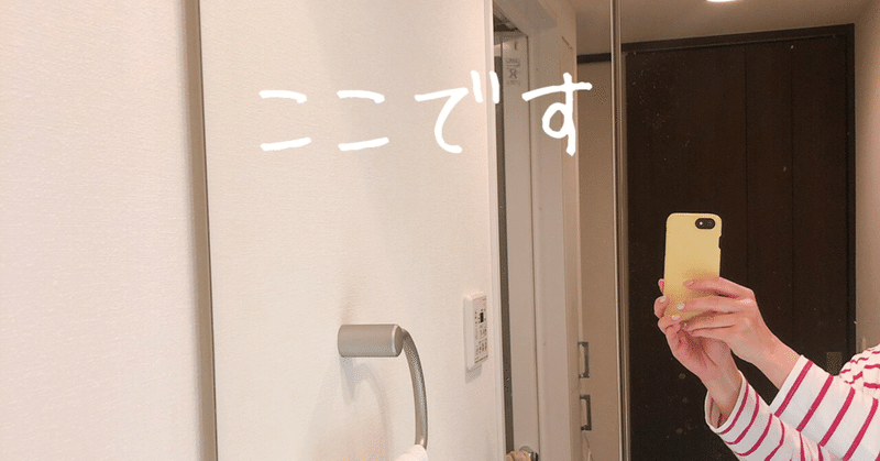 洗面所の三面鏡裏収納アイデア Eri 元ca 整理収納アドバイザー Note