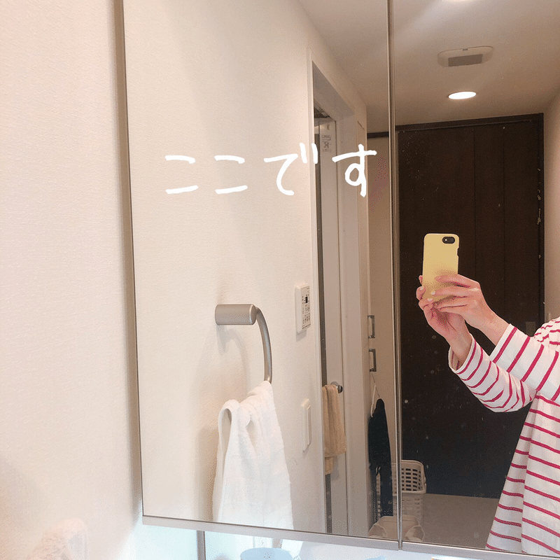 洗面所の三面鏡裏収納アイデア Eri 元ca 整理収納アドバイザー Note 洗面所の三面鏡裏収納アイデア Eri 元ca 整理収納アドバイザー Note