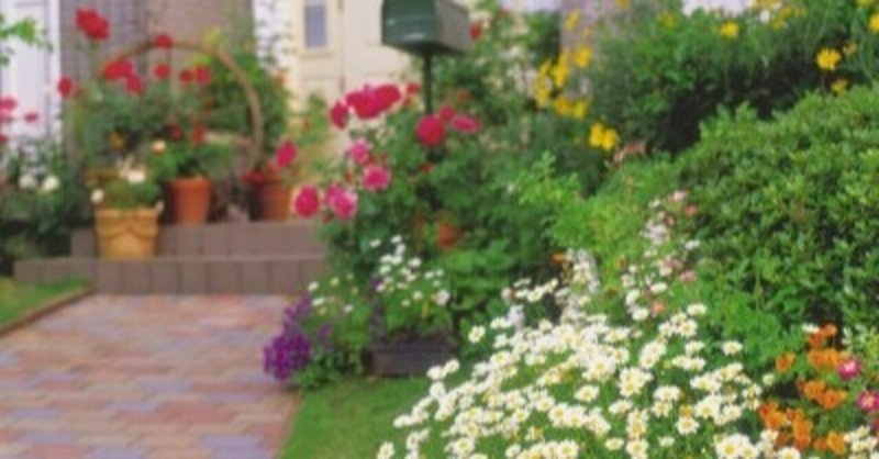 ガーデニングで運気アップ 縁起の良い植物とは 日本生活環境支援協会 日本生活環境支援協会 Note