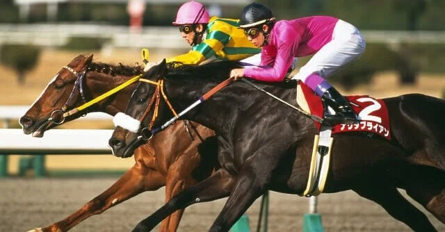 記憶に残るレース（最強馬が激突した第113回と第115回天皇賞・春 