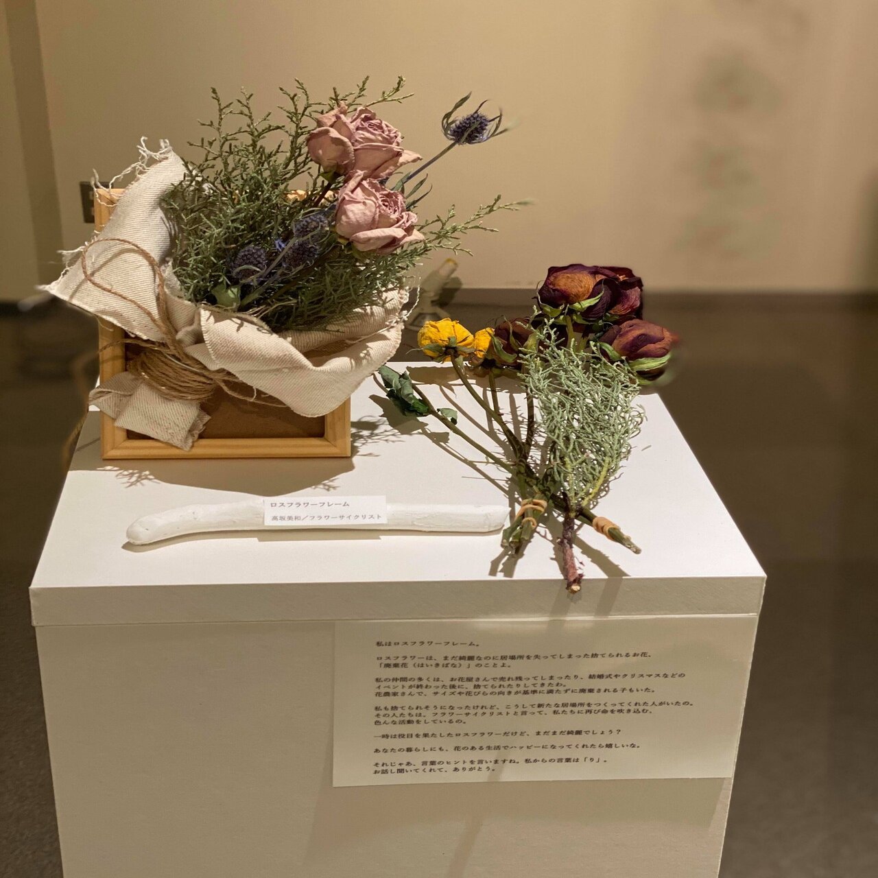 21年5月 6月 アンバサダー活動紹介 Flower Cycle Ambassador Note